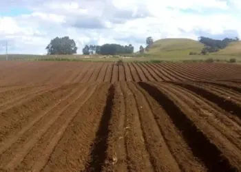 Setembro será de irregularidade de chuva e baixa umidade do ar no Brasil