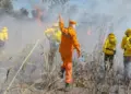 Tocantins cai para 9ª posição no ranking nacional de queimadas no mês de agosto