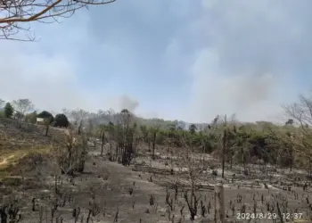 Sem condições de combater incêndio em área rural, Prefeitura de Centenário decreta calamidade pública