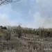 Sem condições de combater incêndio em área rural, Prefeitura de Centenário decreta calamidade pública