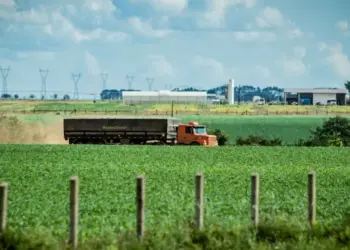 Massa de ar polar deve afetar colheita do milho e levar risco à pecuária