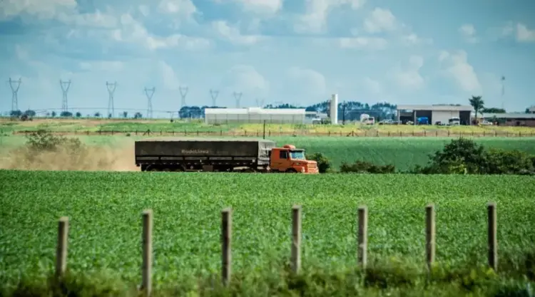 Massa de ar polar deve afetar colheita do milho e levar risco à pecuária