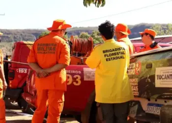 Estado investiu cerca de R$ 10 milhões em ações ambientais contra queimadas este ano