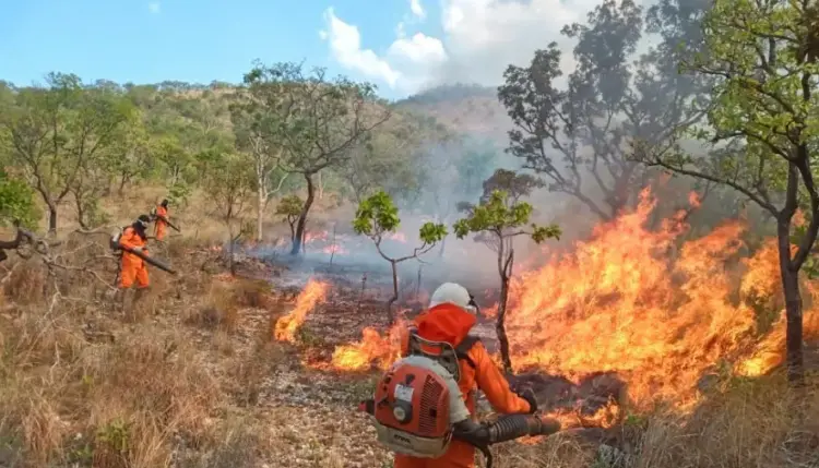 Novo boletim climático divulgado pelo Estado aponta uma redução de 10% na curva de crescimento dos focos de queimadas em relação à semana anterior