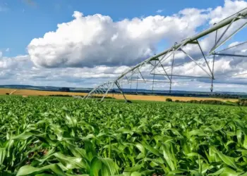 Agropecuária impulsiona PIB do Tocantins e fortalece economia do estado