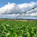 Agropecuária impulsiona PIB do Tocantins e fortalece economia do estado