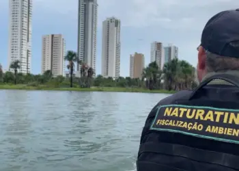 Operações do Naturatins nos rios Tocantins, Araguaia e lago UHE Luís Eduardo Magalhães intensificam combate à pesca predatória no Estado