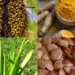 Estado e ArticulaFito realizam encontro das cadeias de valor da sociobiodiversidade e agroextrativismo