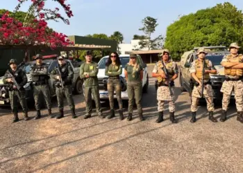 Naturatins realiza operação de combate ao desmatamento ilegal em Piraquê e Wanderlândia