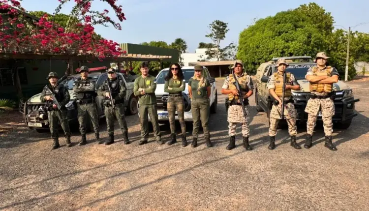 Naturatins realiza operação de combate ao desmatamento ilegal em Piraquê e Wanderlândia