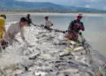 Tocantins aposta no aumento do consumo de pescado