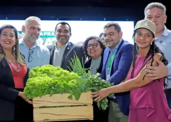 Plano Safra 24/25: Tocantins recebe R$ 500 milhões para revolucionar a agricultura familiar