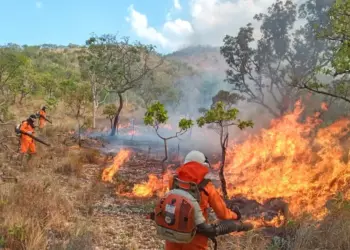 Aproest alerta para os riscos do fogo na agricultura e na pecuária