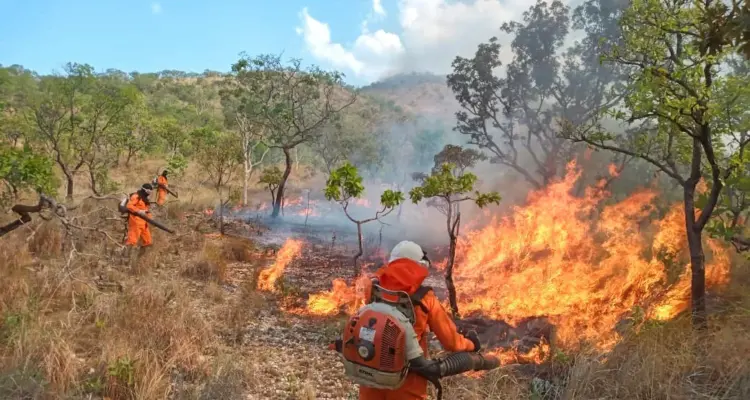 Aproest alerta para os riscos do fogo na agricultura e na pecuária