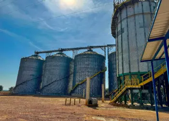 Entreposto da Frísia em Dois Irmãos do Tocantins é o mais tecnológico espaço desenvolvido pela cooperativa