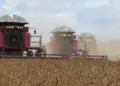 Tocantins alcança o 2º lugar no crescimento do Agronegócio entre os estados brasileiros em 2023, produtores rurais comemoram o resultado