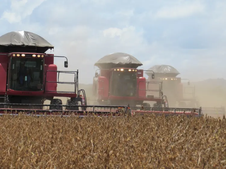 Tocantins alcança o 2º lugar no crescimento do Agronegócio entre os estados brasileiros em 2023, produtores rurais comemoram o resultado