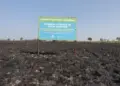 Campos de capim dourado ganham fiscalização para inibir queimadas