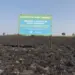 Campos de capim dourado ganham fiscalização para inibir queimadas