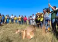 Festa da Colheita celebra tradição e sustentabilidade no Jalapão