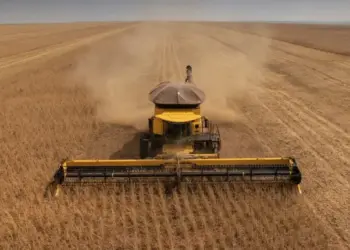 Advento da soja faz terras no Tocantins triplicarem de preço