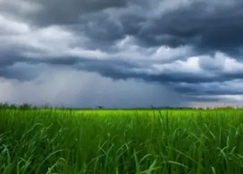 Nova frente fria chega ao Brasil e traz mudanças bruscas no clima; veja a previsão