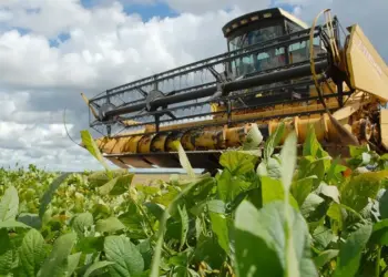 Tocantins inicia plantio da safra 2024/2025 dia 1º de outubro