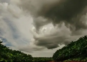 Chuva negra: por que ela é uma ameaça real à produção de alimentos