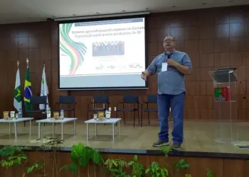 Pecuária orgânica: pesquisador compartilha resultados de pesquisa participativa