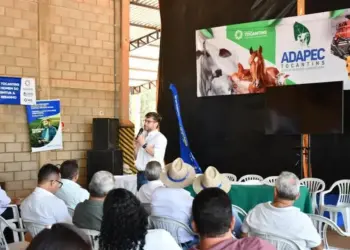Estado leva informações sobre sanidade animal aos produtores rurais de Pedro Afonso
