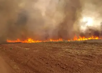 Aprosoja Tocantins cobra ações contra criminosos que provocam incêndios florestais 