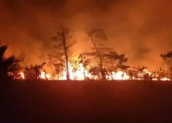 Aproest destaca a contribuição e a preocupação dos produtores rurais no combate às queimadas no Tocantins