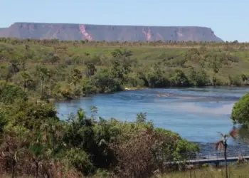 Naturatins divulga lista final de entidades habilitadas para compor o Conselho Gestor da Área de Proteção Ambiental do Jalapão