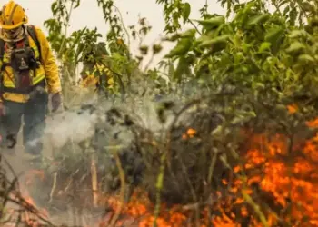 Brasil já registrou mais de 154 mil focos de calor este ano