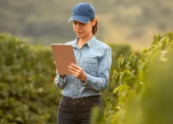 Proagro: tudo que você precisa saber para o Plano Safra 24/25