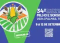 34º Congresso Nacional de Milho e Sorgo contará com mesas-redondas e especialistas sobre os grãos; Confira a programação