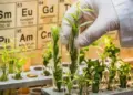 Bioinsumos podem gerar economia de US$ 5,1 bilhões por ano ao agro brasileiro