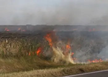 Confira 6 dicas para se proteger da poluição causada pelas queimadas