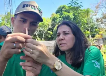 Ação do Sistema FAET/Senar vai estimular produção de aves em escola municipal
