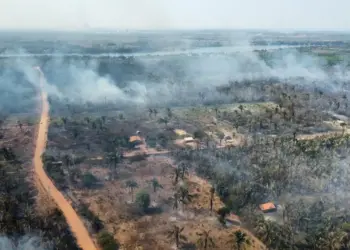 Famílias afetadas por incêndios florestais terão direito a benefício emergencial no Tocantins, diz governo