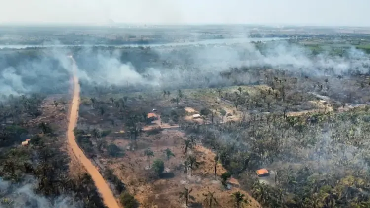 Famílias afetadas por incêndios florestais terão direito a benefício emergencial no Tocantins, diz governo