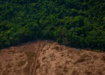 MapBiomas afirma que Brasil já perdeu mais de 30% da suas áreas naturais