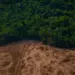 MapBiomas afirma que Brasil já perdeu mais de 30% da suas áreas naturais