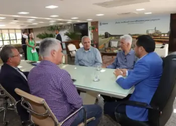 Projeto para implantação de indústria de etanol em Pedro Afonso é apresentado ao governador