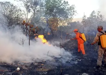 Relatório Climático: Queimadas no Tocantins caem 79% em relação à semana anterior