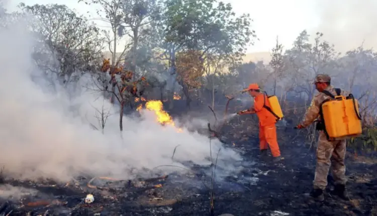 Relatório Climático: Queimadas no Tocantins caem 79% em relação à semana anterior