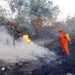 Relatório Climático: Queimadas no Tocantins caem 79% em relação à semana anterior