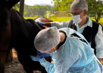Adapec colabora com LACEN-TO para garantir meios de cultura para testes de meningite e coqueluche