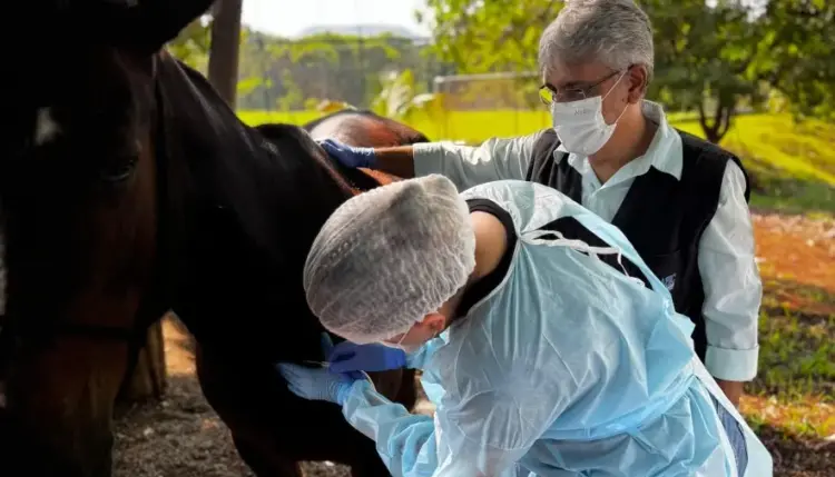 Adapec colabora com LACEN-TO para garantir meios de cultura para testes de meningite e coqueluche