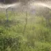 Uso excessivo de água no Matopiba pode comprometer até 40% da capacidade futura de expansão da irrigação